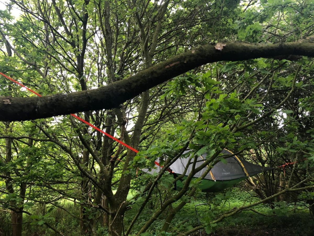 Naturecamp Cuxhaven Eksteriør bilde